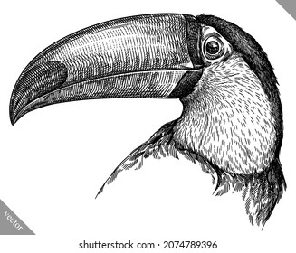black and white engrave isolated toucan vector illustration