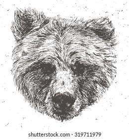 black and white engrave isolated vector bear