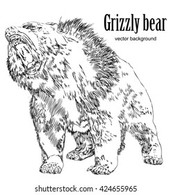 Black and white engrave isolated vector bear. Vintage hand drawn vector illustration