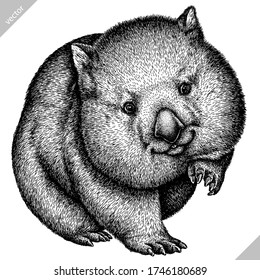 Wombat High Res Stock Images Shutterstock