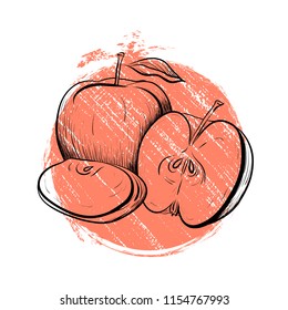 Black and white engraved illustration of apples with grunge colored dot. Hatched drawing.  Contour illustration for the menu, recipes, postcards and your creativity.