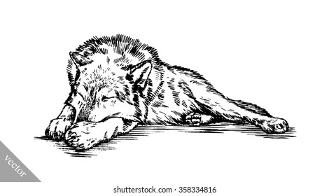 black and white engraved isolated wolf