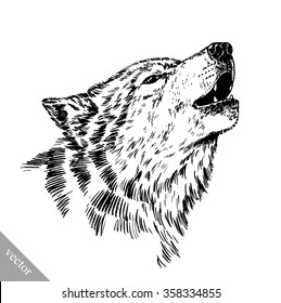 black and white engraved isolated wolf