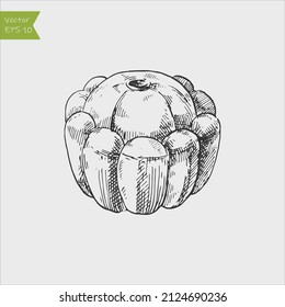 Black and white engraved pattypan squash. Vector illustration