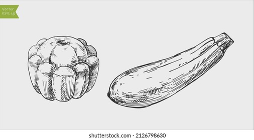 Black and white engraved zucchini and pattypan squash. Vector illustration