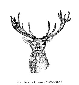 Black White Engraving Isolated Vector Deer Stock Vector (Royalty Free ...