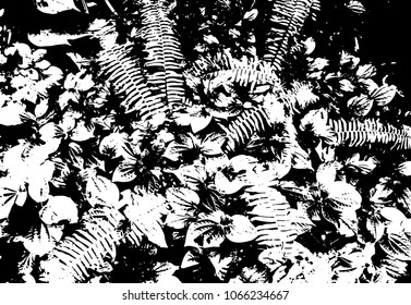Black and white exotic foliage. Vector EPS 10.