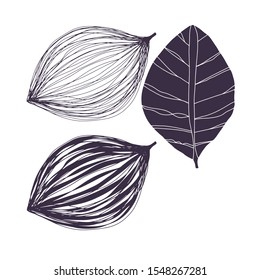 Black and white Exotic leaves vector set