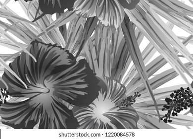 Black white exotic pattern. Monstera and hibiscus flowers tropical bouquet.  Saturated large floral swimwear print. Horizontal california natural texture design. Bonny spring botanical design.