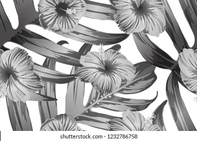 Black white exotic pattern. Monstera and hibiscus flowers tropical bouquet.  Hawaiian t-shirt and swimwear tile.  Horizontal romantic wild vector exotic tile. Bonny spring botanical design.