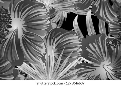 Black white exotic pattern. Monstera and hibiscus flowers tropical bouquet.  Saturated large floral swimwear print. Horizontal romantic wild vector exotic tile. Bonny spring botanical design.