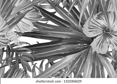 Black white exotic pattern. Monstera and hibiscus flowers tropical bouquet.  Saturated large floral swimwear print. Horizontal california natural texture design. Hypernatural botanic design.