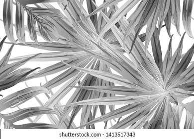 Black white exotic pattern. Monstera leaves and hibiscus flowers in summer print.  Saturated large floral swimwear print. Horizontal california natural texture design. Bonny spring botanical design.