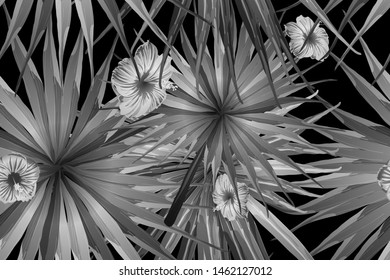 Black white exotic pattern. Monstera and hibiscus flowers tropical bouquet.  Hawaiian t-shirt and swimwear tile.  Horizontal romantic wild vector exotic tile. Bonny spring botanical design.