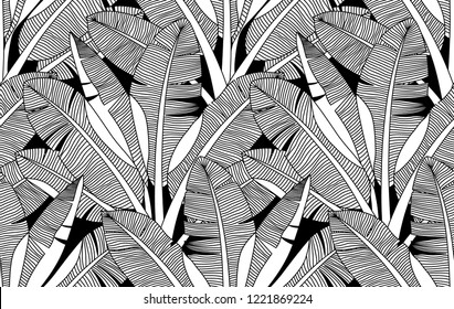 Black and white exotic plant and palm tree  botanical illustration. Bananas tree vector seamless pattern. Tropical plants and trees adult colouring zentangle book page.