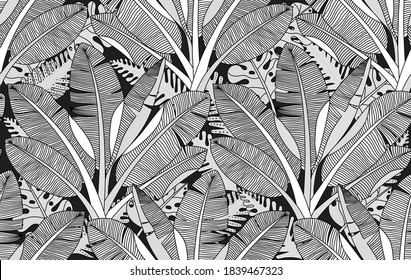 Black and white exotic plant and palm tree  botanical illustration. Bananas tree vector seamless pattern. Tropical plants and trees adult colouring zentangle book page.