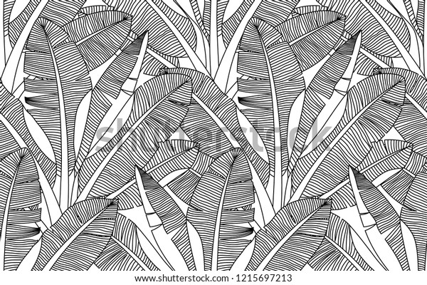 Black White Exotic Plant Palm Tree Stock Vector (Royalty Free) 1215697213