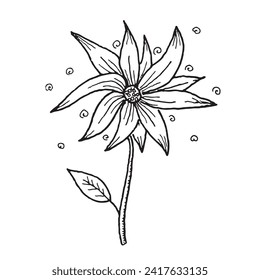 Black and white fairy flower with long petals. Freehand drawing in ink in doodle style, vector.