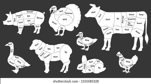 Black and white farm animal meat body part guide - hand drawn animals with butcher cut names. Cattle and poultry diagram with text - isolated flat vector illustration.