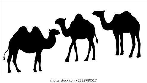 black and white farm animal vector illustration and silhouette