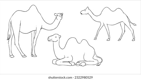 black and white farm animal vector illustration and silhouette