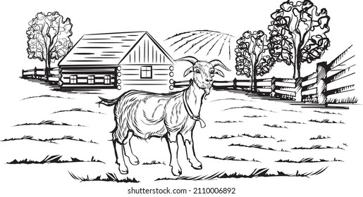 Black and white farm house hand drawn sketch, land, goat, and field.