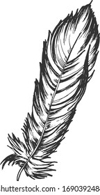 black and white feather of a bird, isolated vector graphics, a template for printing, prints, hand-drawn black outline on a white background