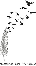 Black and white feather with birds flying out of it