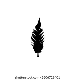Black and white feather illustration design.