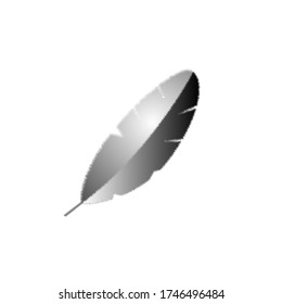 black and white feather isolated on white background | vector feather illustration.