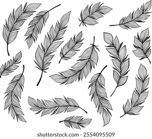 Black and White Feathers Set Vector Line Art Elements in Elegant Decorative Style for Wall Decal or Prints Design