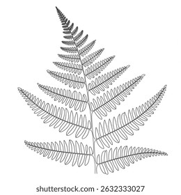 A black and white fern illustration line art of a coloring page 