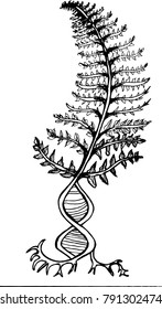 Black and white fern, with the symbol dnk, passing to the roots.