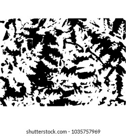 Black and white fern texture. Vector illustration. 