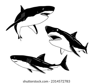 
black and white ferocious shark vector illustration set bundle