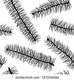 black and white Fir branch seamless pattern. Winter design for holiday greeting cards and invitations of the Merry Christmas and Happy New Year, winter holidays.