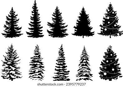 Black and white fir and pine trees with snow and christmas decoration. Vector illustration.