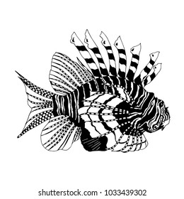 Black and white fish.