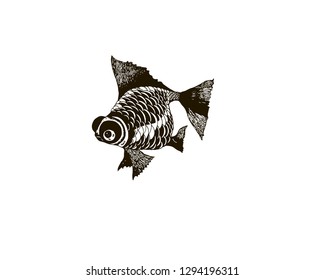 black and white fish