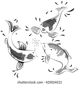 black and white  fish on white background