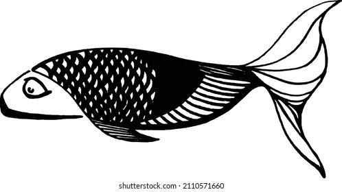 Schwarz-Weiß-Fisch von der Seite 