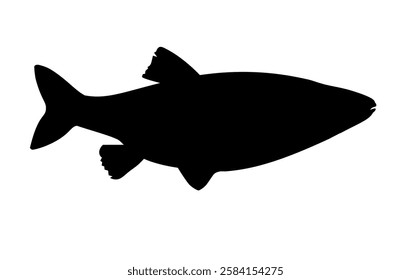 Black white fish silhouette, side view. Vector illustration isolated on white background