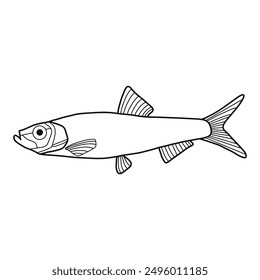 schwarz-weißer Fisch, Vektorgrafik. Kommerzielle Fische. Frische rohe essbare Cartoon Fisch.  Fisch Silhouette Meeresfrüchte Produkt
