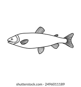 black and white fish vector illustration. Commercial fishes. Fresh raw edible cartoon fish.  Fish Silhouette Seafood Product