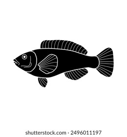 black and white fish vector illustration. Commercial fishes. Fresh raw edible cartoon fish.  Fish Silhouette Seafood Product