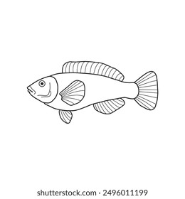 black and white fish vector illustration. Commercial fishes. Fresh raw edible cartoon fish.  Fish Silhouette Seafood Product