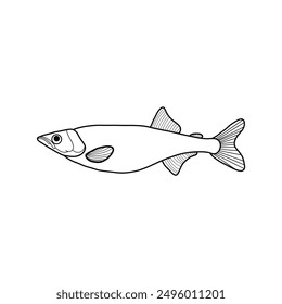 black and white fish vector illustration. Commercial fishes. Fresh raw edible cartoon fish.  Fish Silhouette Seafood Product