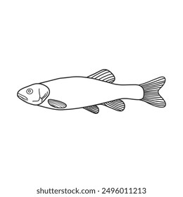 black and white fish vector illustration. Commercial fishes. Fresh raw edible cartoon fish.  Fish Silhouette Seafood Product