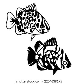 black and white fish vector set isolated on white background. fish, coral fish, scat, spotted scat, aquarium, seafood, simple, vector illustration.