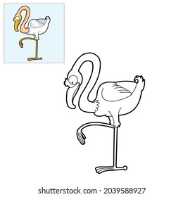 dibujo vectorial de flamingo en blanco y negro